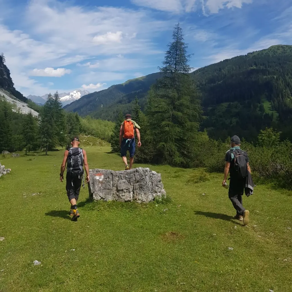 Drei Wanderer spazieren durch die Wiese, einer ist auf einem Felsen